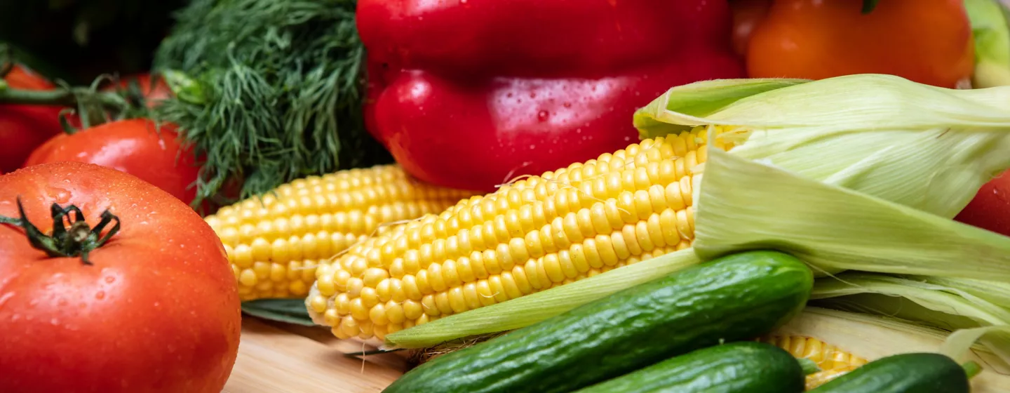 Fresh vegetables and maize representing Vida Agro services