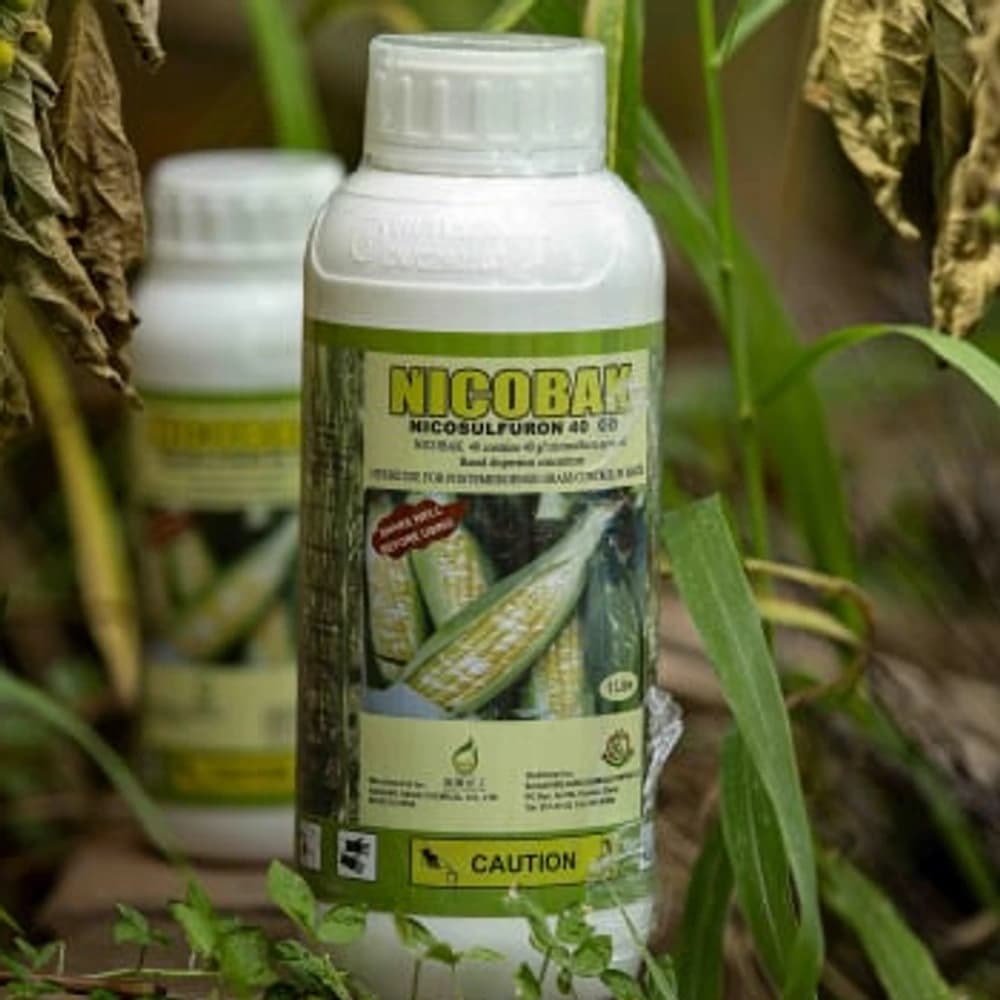 Placeholder for Nicobak product photo