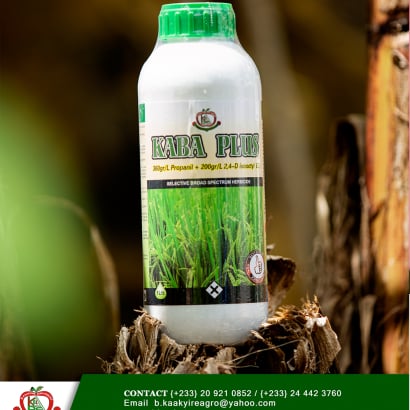 Product inventory preview