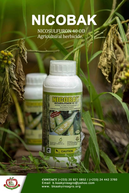 Placeholder for Nicobak product photo